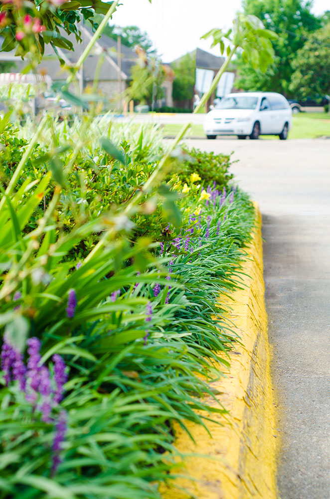 Landry's Landscape Portfolio